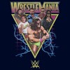 Mens WWE Retro Wrestlers Triangle Lightweight Hoodie - 2 of 4