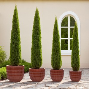 Wooakway 14" Dia Outdoor Indoor Ceramic Planter Pot Decorative Planter with Drainage Hole Patio Flower Pot - 1 of 4
