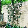 Tall Metal Garden Arch Trellis, Plant Support for Climbing Roses, Cucumbers and Flowers – The Pop Home - 3 of 4