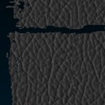 los angeles chargers