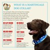 Country Brook Petz HossFit Jr Wide Martingale Dog Collar - Christmas Collection - 4 of 4