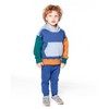 Deux par Deux Boy Long Sleeve Colorblocked Hooded Fleece Sweatshirt Blue - 3 of 4