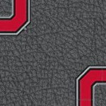 ohio state buckeyes