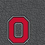 ohio state buckeyes