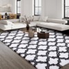 Plush Fuzzy Rugs Ultra Soft Fluffy Furry Rugs Non Slip Non Shedding Rug Soft and Cozy Plush Large Carpet for Bedroom Living Room Teens Dorm - 2 of 4