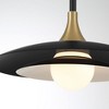 Eurofase Lighting Welsh 1 - Light Pendant in  Black - 2 of 3