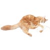 Imperial Cat Cat N` Around Pouncy Mouse Catnip Toy - 3 of 4