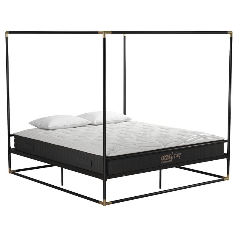 Celeste Canopy Metal Bed -  Cosmoliving By Cosmopolitan , 1 of 16
