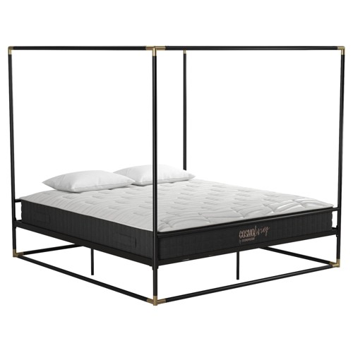 King Size Frame Celeste Canopy Metal Bed Black/Gold - Cosmoliving By Cosmopolitan