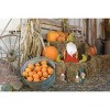Gallerie II Sitting Gnome Holding "Thankful" Sign Decorative Thanksgiving Figurine - 2 of 3