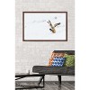 Trends International The Comedy Wildlife Photography Awards: Angela Bohlke - Diving Fox Framed Wall Poster Prints - 2 of 4