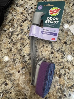 Guest review image 3 of 4, zoom in