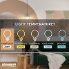 Bulbrite Set of 4 40W T14 Incandescent Dimmable Light Bulbs E26 2200K: Edison Style, Decorative, 2-Year Life, 135 Lumens - 4 of 4