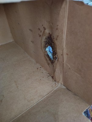 Guest review image 3 of 4, zoom in