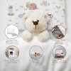 Sweet Jojo Designs Boy, Girl, Unisex/Gender Neutral Toddler Pillow with Pillowcase 13 x 18 in. Farm Animals Multicolor - 3 of 4