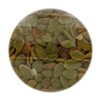 Bergin Fruit and Nut Company Pepitas Roasted & Salted, 14 oz (397 g) - 3 of 3