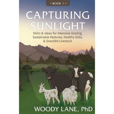 Capturing Sunlight, Book 1 - by  Woody Lane (Paperback)