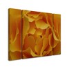 Kurt Shaffer 'Hypnotic Yellow Rose' Multi Panel Art Set Large - 2 of 3