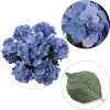 Floral Home 20" Mix Blue Hydrangea with 7 Silk Flowers & Leaves - 1-Piece - 2 of 4