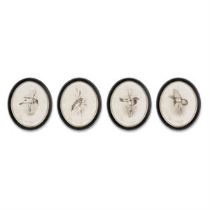 Framed Bird Print (Set of 4) - 1 of 2