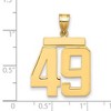 Black Bow Jewelry 14k Yellow Gold, Athletic Collection, Large Polished Number 49 Pendant - 2 of 3