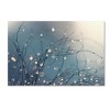 Trademark Fine Art -Beata Czyzowska Young 'When You're Sleeping' Canvas Art - 2 of 3