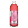 Gt's Synergy Guava Goddess Organic Raw Kombucha - 48 Fl Oz : Target