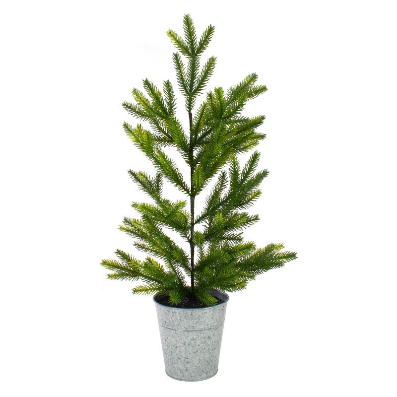 Northlight 2' Potted Pine Medium Artificial Christmas Tree – Unlit, 1 of 6