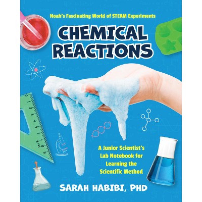 Noah's Fascinating World of Steam Experiments - by  Sarah Habibi (Paperback)