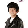 HalloweenCostumes.com One Size Fits Most  Boy  Grease Boy's Danny Wig, Black - 2 of 2