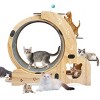 Large Silent 6-in-1 Cat Exercise Wheel with Cat House, Bowl & Shelf, 55'' Indoor Cat Running Wheel for Training-3irtyhousy - 2 of 4