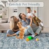 Coucheta Washable Low Pile Area Rug , Non-Slip Indoor Outdoor Carpet for Living Room Bedroom Kitchen, Multi-Color & Size - 4 of 4