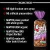 Dave's Killer Bread Organic Raisin' the Roof - 18oz - 4 of 4