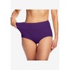 Comfort Choice Women's Plus Size Cotton Spandex Comfort Waist Brief 2-Pack - 4 of 4