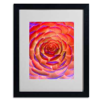 Trademark Fine Art -Patty Tuggle 'Plant Art' Matted Framed Art
