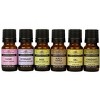 Plantlife Herb Sampler Set 6-Pack (Thyme, Rosemary, Basil, Black Pepper, Dill, Oregano) Aromatherapy Essential Oils – No Additives, 10 ml - 2 of 2