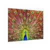 Trademark Fine Art Michael Peacock Wood Slat Art - 2 of 4