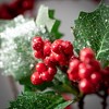 Sullivans Artificial 31" Red Berry And Holly Spray - 2 of 2