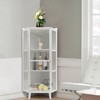 YIYIBYUS Tall Corner Storage Cabinet, Floor Slim Display Storage Cabinet with Glass Doors - 2 of 4