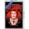 Trends International David Bowie - Ziggy Stardust Live Framed Wall Poster Prints - 3 of 4