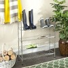Lidia Adjustable Shoe Rack - Chrome - Safavieh - 2 of 4