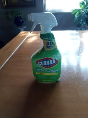Save on Clorox Clean-Up Cleaner + Bleach Original Trigger Spray Order  Online Delivery
