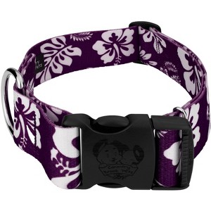 Country Brook Petz HossFit Jr Wide Deluxe Dog Collar - Summer Breeze Collection - 1 of 4