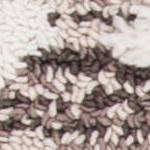 ivory/brown