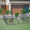 Gulches 40in H x 32in W x 32in D Flex Pen Black 16 Panel 1 Pack Dog Rabiit  Livestock Supplies Product type - 2 of 4