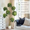 5FT/6FT/7FT Artificial Umbrella Schefflera Tree - Multiple Trunks Design in White Pot - Faux Floor Plant for Home Office or Indoor Decor - 2 of 4