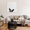 Stupell Industries Dog Peeking From Below, 36" x 36" - 2 of 4