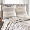 Caspian Sea Euro Sham Set - Two Euro Shams - Levtex Home - 2 of 3