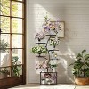 Artloge 7 Tiers Metal Tree-Shaped Plant Shelf Indoor Corner Plant Stand Flower Pots Display Organizer Stand for Home Patio Garden - 3 of 4