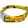 Country Brook Petz® Premium Dog Collar - Rescue Collection - 2 of 4